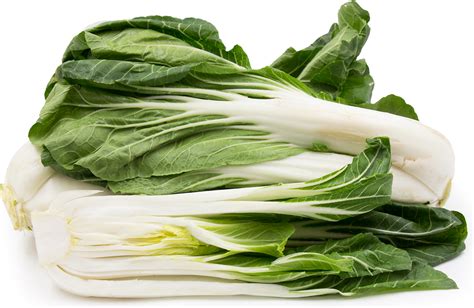 Bok Choy Information Recipes And Facts