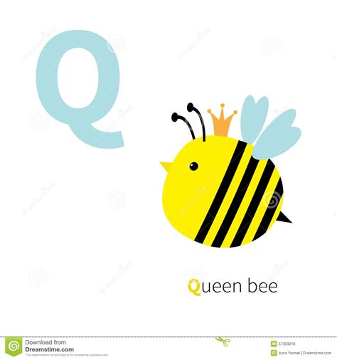 Letter Q Queen Bee Zoo Alphabet English Abc With Animals Education