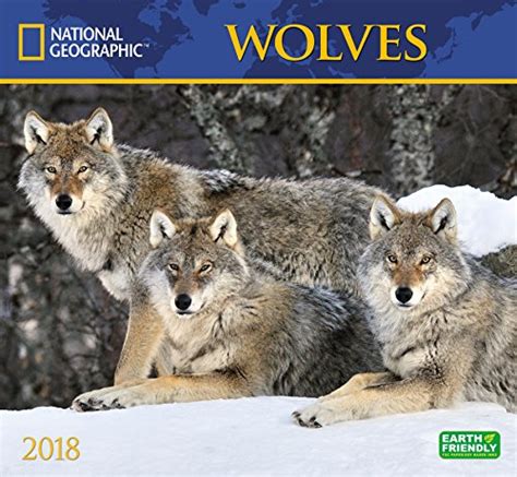 National Geographic Wolves 2018 Wall Calendar by Unknown / Twitter
