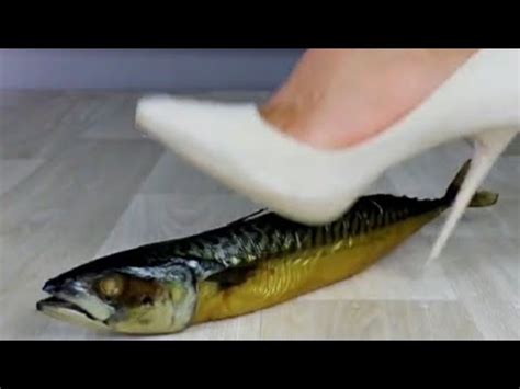 Crush Fish Tube