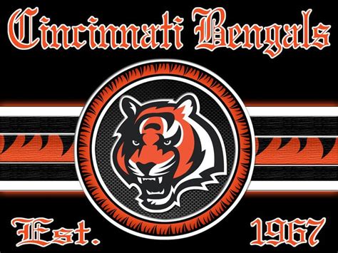 Cincinnati Bengals Logo Cincinnati Cincinnati Bengals Bengals Football