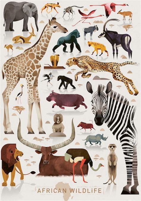 African Wildlife Poster By Dieter Braun In Kinderpostershopde