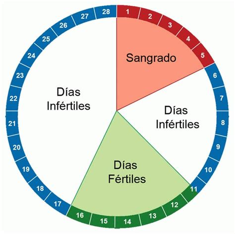 Desgracia Dorado Analista Calendario De La Regla Dias Fertiles Mucho