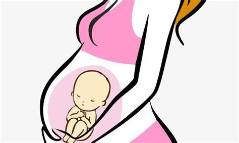 Feto Madre Embarazada Cartoon Png Con El Feto De Las Embarazadas