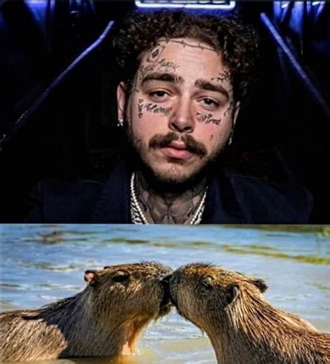 Post Malone Memes Haha Incoming Call Capybara Moustache Kiss