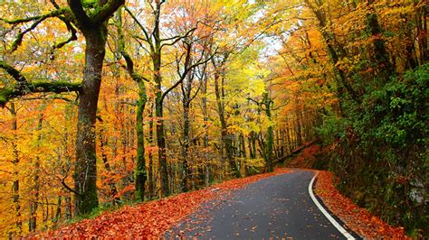 A Incrível Beleza Do Outono No Parque Nacional Parte V Pnp Gerês