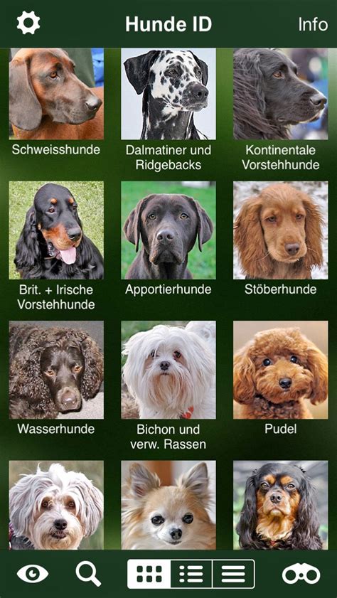 Télécharger Hunde Id Welcher Hund Passt Zu Mir Sunbird Ratgeber Zur Auswahl Der Passenden