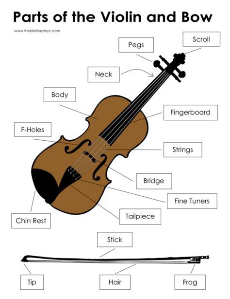 Parts Of The Violin And Bow Diagram With Labels On It For Kids To Learn