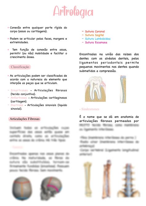 Solution Anatomia Sistema Articular Studypool