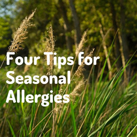 Four Tips For Seasonal Allergies Naturally Conquer The Discomfort