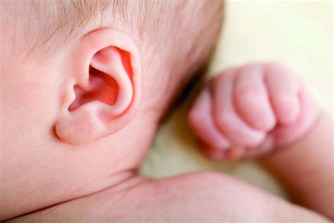 The Truth About Ear Infections In Infants Wehavekids