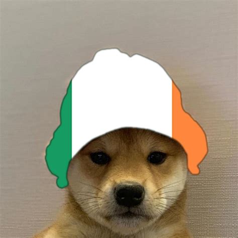 Ireland Dogwifhat Dogwifhat Know Your Meme