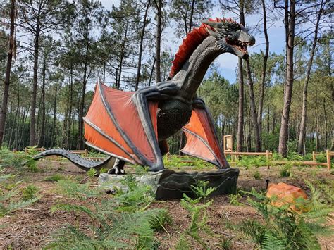 La Forêt Des Dragons Dinosaures Parc