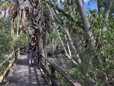 Compare 200+ booking sites worldwide. Rabb Plantation House - Picture of Sabal Palm Sanctuary ...