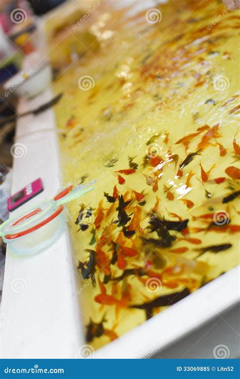 Goldfish Scooping In Japanese Festival Stock Image Image Of Goldfish