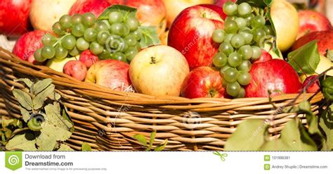 Ripe Apples With Grapes In A Basket Stock Image Image Of Ripe