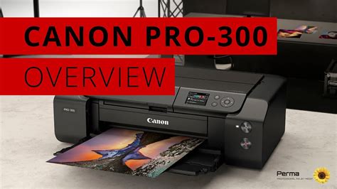 Canon Pro 300 Inkjet Printer Overview Youtube
