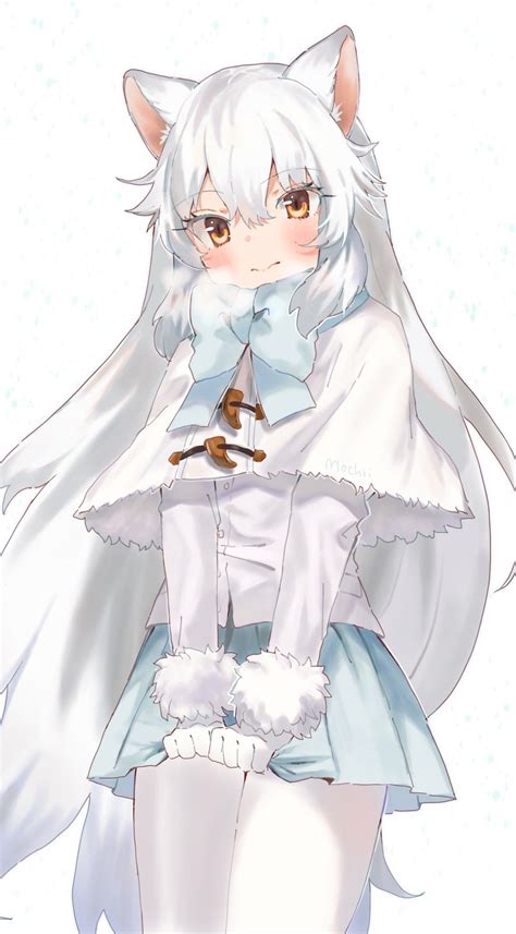 Cute Anime Arctic Fox Girl