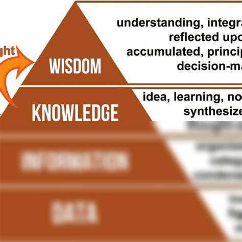 Solution The Data Information Knowledge Wisdom Dikw Hierarchy As A Pyramid To Manage Knowledge