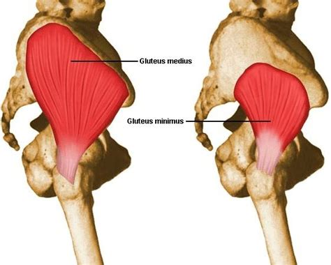 A Simple And Effective Gluteus Medius Exercise