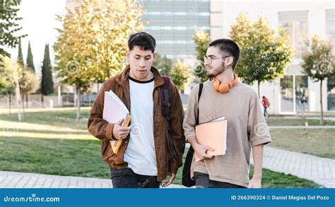 Two Students Talking While Walking In A Park Stock Photo Image Of