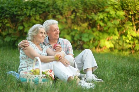 любить пожилых людей пар стоковое фото изображение насчитывающей 4328128