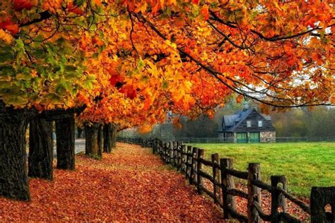 Fall Autumn Wallpaper ·① Wallpapertag