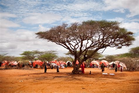 Msf Planeja Regressar à Somália Em Abril Msf Brasil