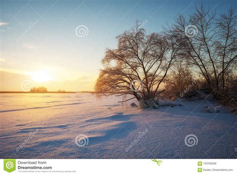 Beautiful Winter Landscape With Frozen Lake Trees And