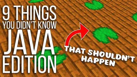 9 Mind Blowing Things You Didnt Know In Java Edition Minecraft