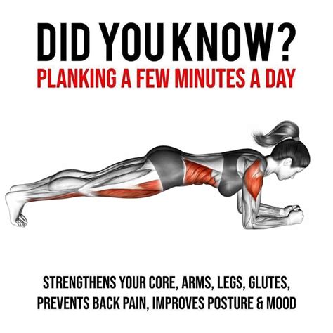 Think You Can Complete This 30 Day Plank Challenge Fitness Volt