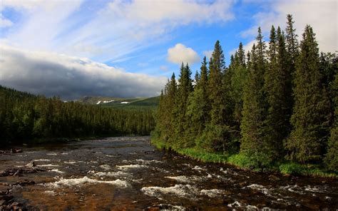 Download Wallpaper 3840x2400 River Spruce Trees Forest Clouds 4k