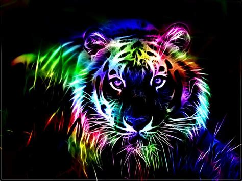 Colorful Fractal Tiger Rainbow Animal Cats Hd Wallpaper