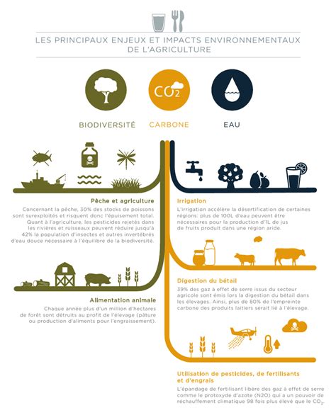 Télécharger L`infographie Sur Les Impacts Environnementaux De L