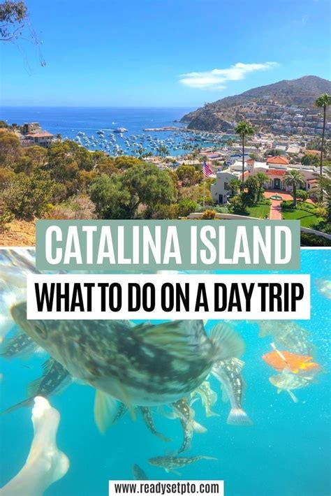 Catalina Island What To Do On A Day Trip Looking To Go On A Catalina