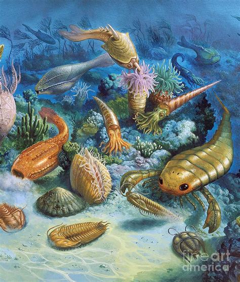 Underwater Life During The Paleozoic By Publiphoto Prehistoric