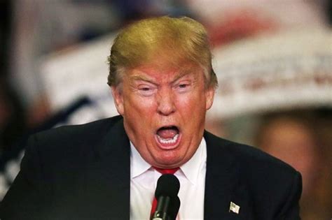 On november 9, 2016, donald trump won the election, becoming the 45th us. Report: Staffers Frantically Stopped Trump Twitter ...