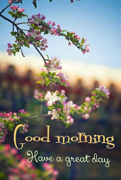 The Words Good Morning Have A Great Day Are Shown In Front Of Some Pink