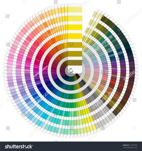 Pantone Color Palette Color Palette Guide Isolated On White