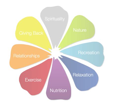 8 Ways to Achieve Optimal Health — Dr. Nick | Chiropractic ...