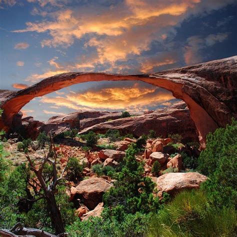The Nicest Pictures: Arches National Park