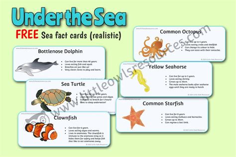 Free Under The Sea Topicsea Animals Printable Early Years Eyfs