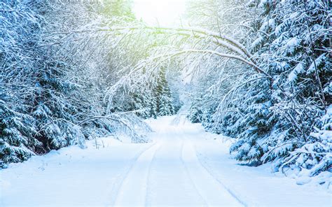 Download Wallpapers Winter Landscape Forest Road Snow Forest Road