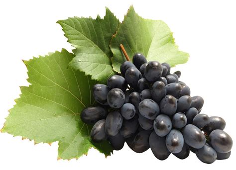 Manfaat Buah Anggur Hitam Yang Menakjubkan Untuk Kesehatan Berbagi