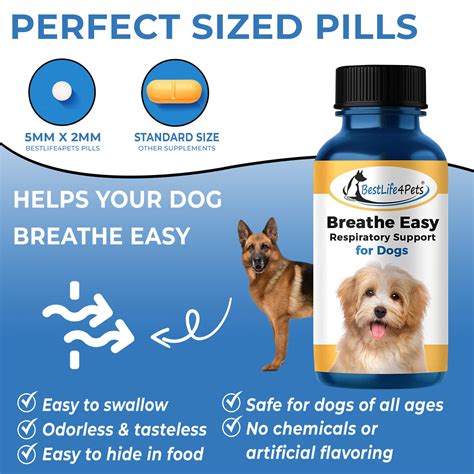 Dog Kennel Cough Decongestant And Respiratory Support Bestlife4pets