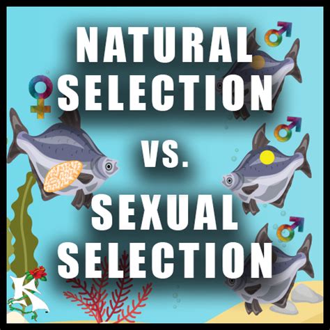 natural selection vs sexual selection — koaw nature