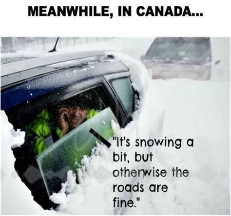 pin by angie rudd on canada canada funny canada jokes meanwhile in canada