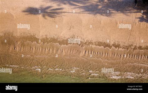 Tree Cast Shadow Hi Res Stock Photography And Images Alamy
