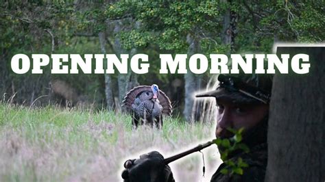 A Perfect Opening Morning Four Gobblers Within Yards Youtube