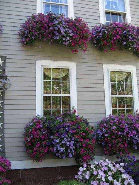 Stunning 30 Awesome Flowering Window Boxes Ideas Gardenmagz